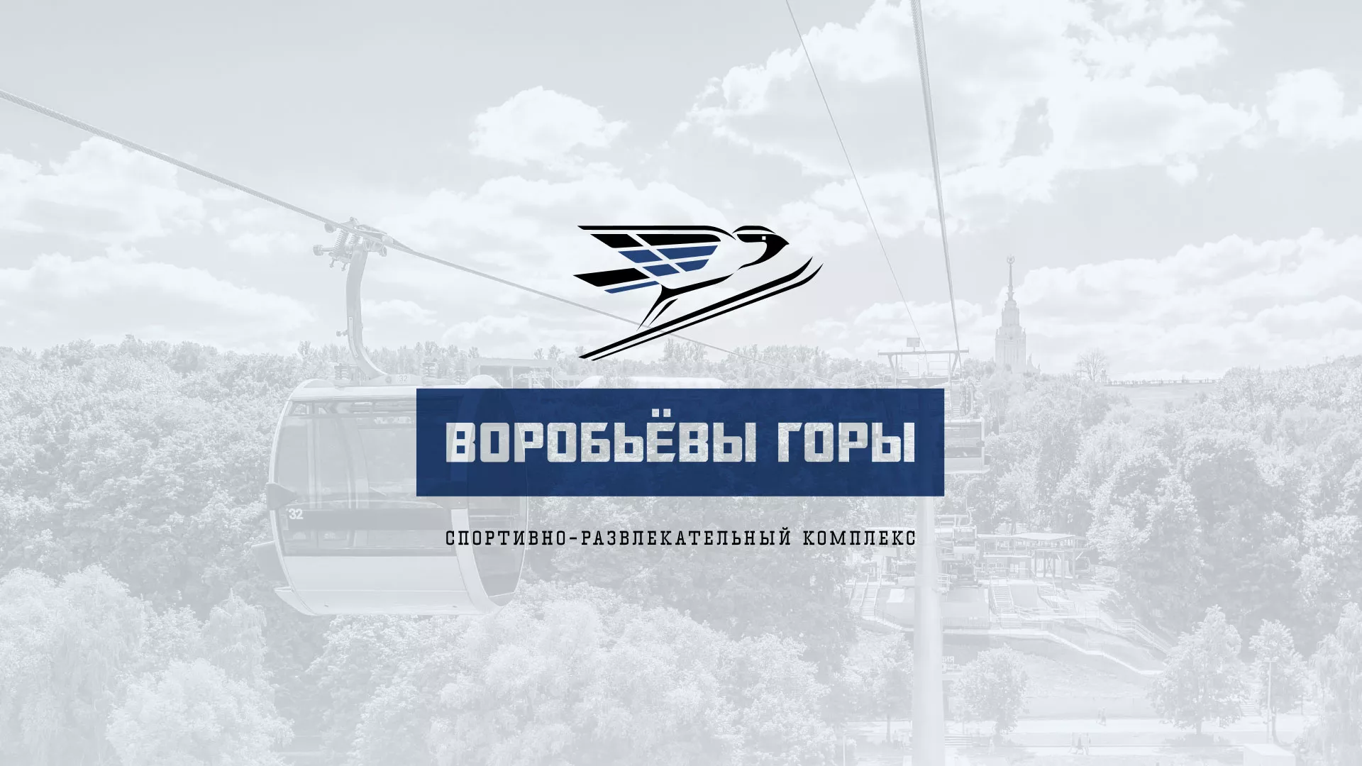 Разработка сайта в Котельниково для спортивно-развлекательного комплекса «Воробьёвы горы»